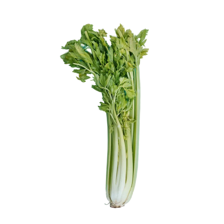 Céleri